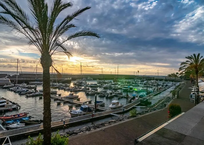 Apartman Refugio Do Sol - Madeira Group Calheta